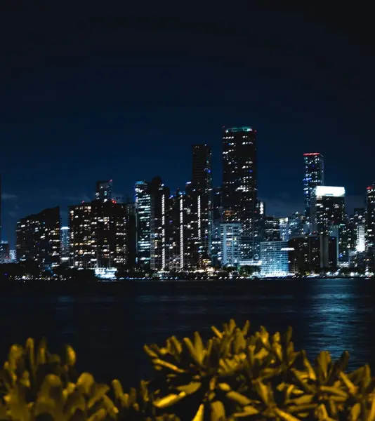 Stage à Miami