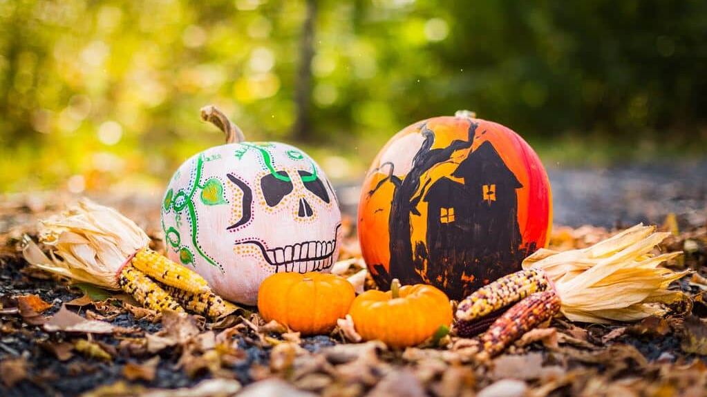 Les activités insolites à faire à Washington pour Halloween