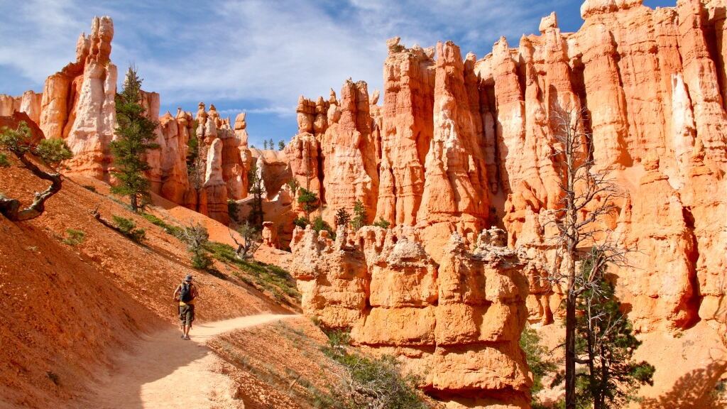 Les road trips mémorables entrepris par des titulaires de visa J1 : découvertes et aventures à travers les États-Unis